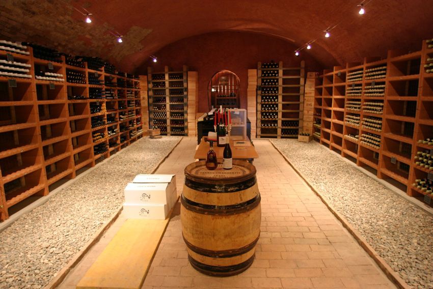 Cantine interrate, ShoWine ShoWine Cave à vin moderne