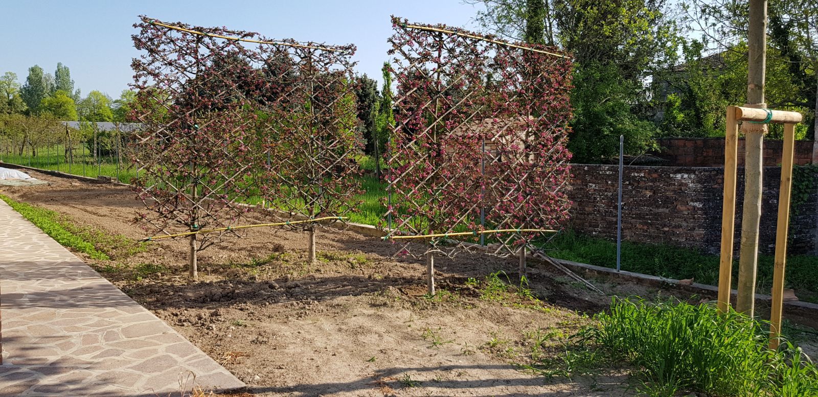 Geometrie in campagna, LUCIA PANZETTA - PAESAGGISTA LUCIA PANZETTA - PAESAGGISTA Jardines de estilo moderno