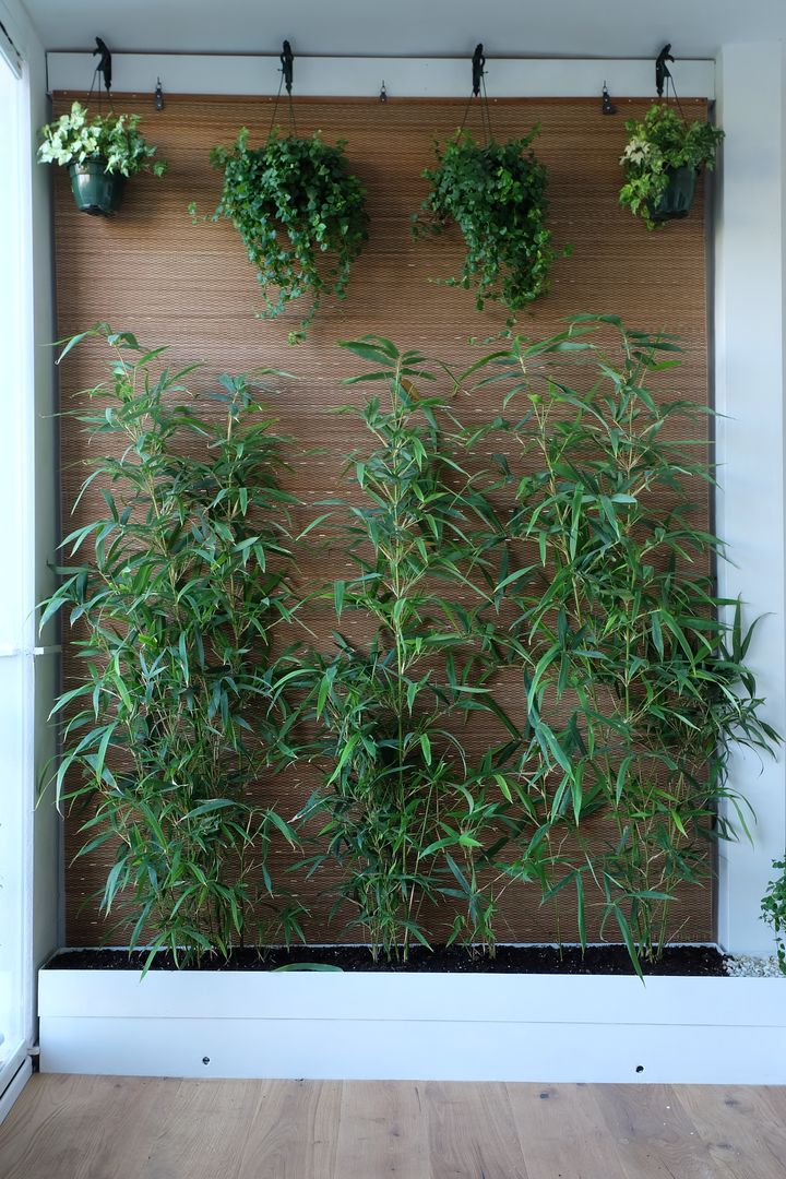 La Casa de corcho: Reforma de vivienda con materiales 100x100 naturales., Zink Arquitectura Zink Arquitectura Balcony Bamboo Green