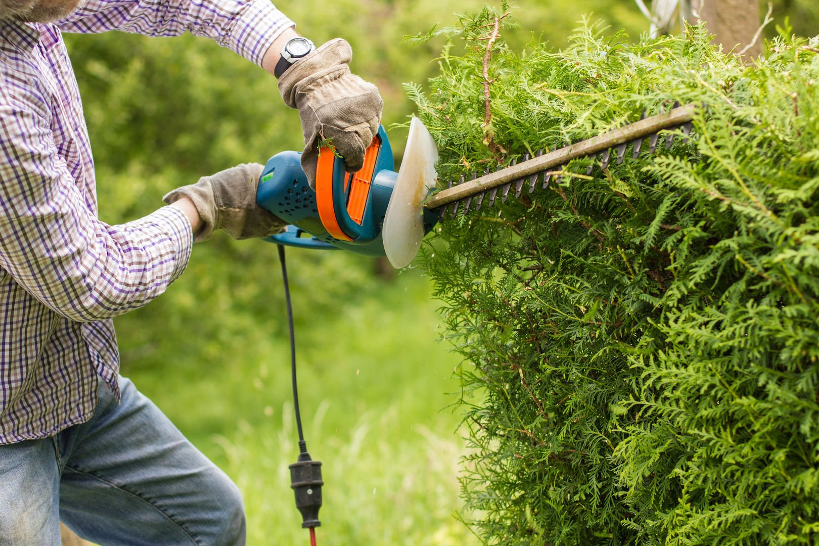 Heckenscheren GartenXXL (NeS GmbH) schneiden,Heckenschnitt