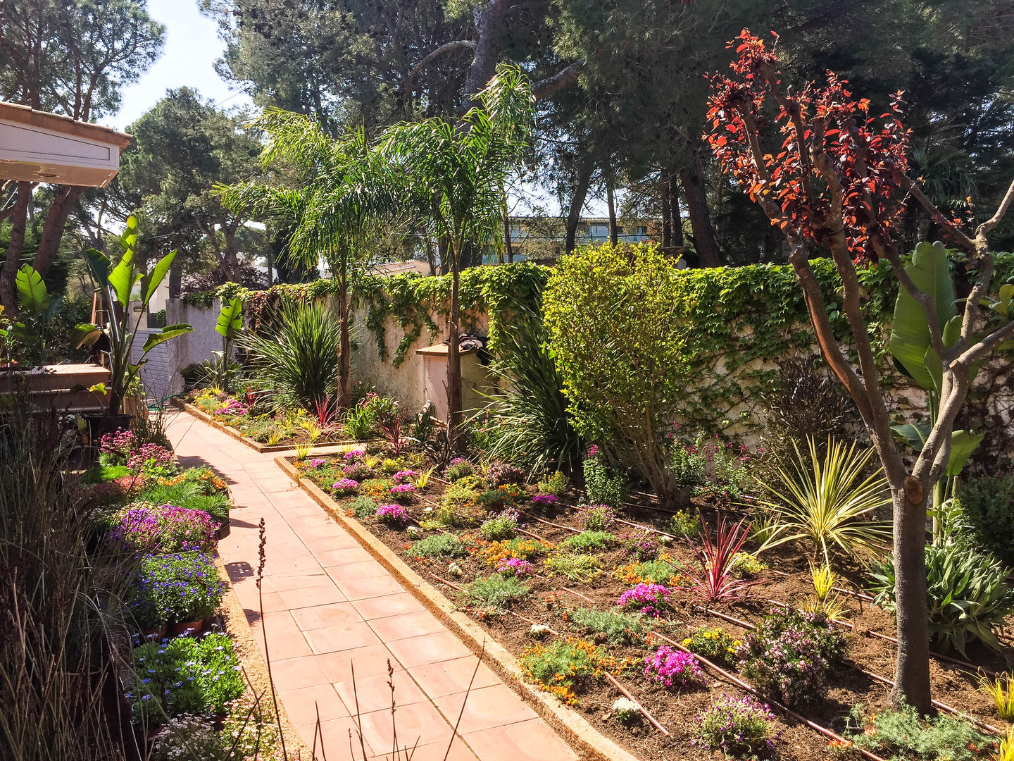 Jardin en La Fosca, Nosaltres Toquem Fusta S.L. Nosaltres Toquem Fusta S.L. Egzotyczny ogród