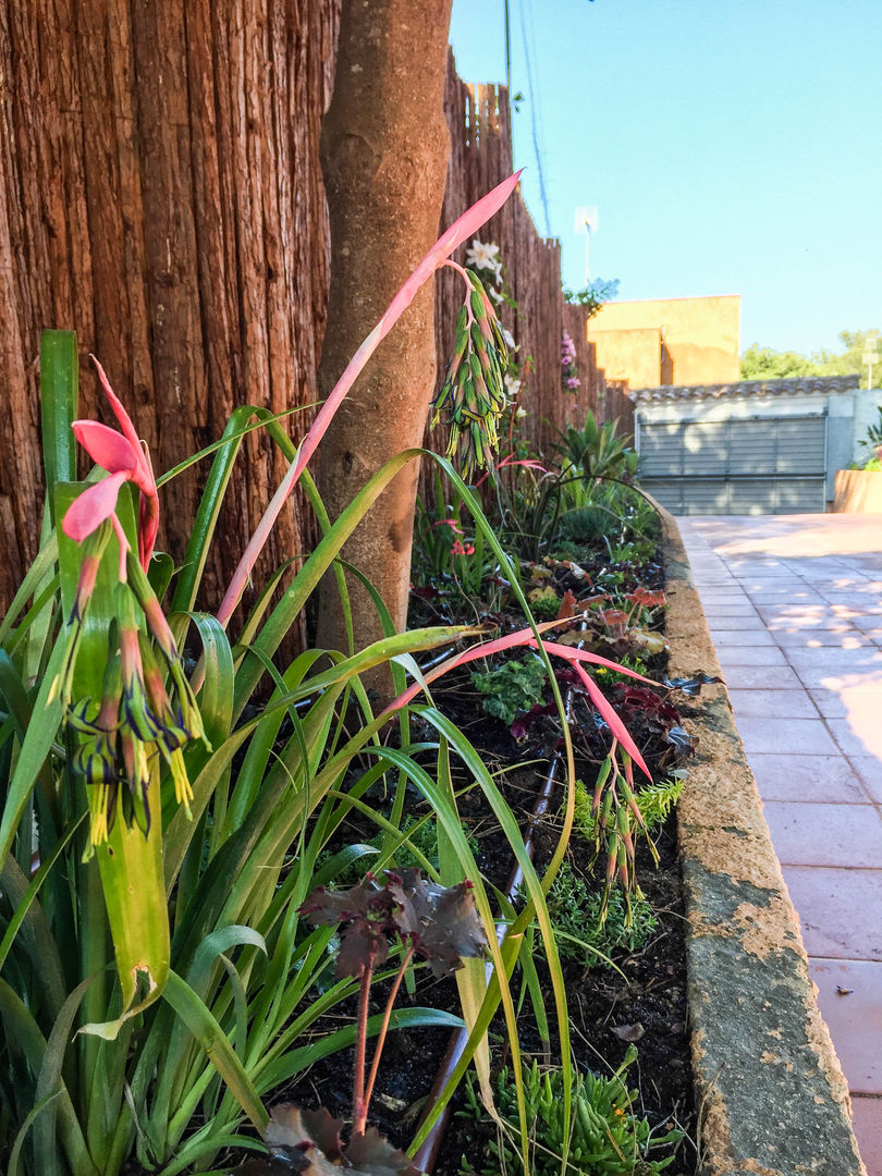 Jardin en La Fosca, Nosaltres Toquem Fusta S.L. Nosaltres Toquem Fusta S.L. トロピカルな 庭