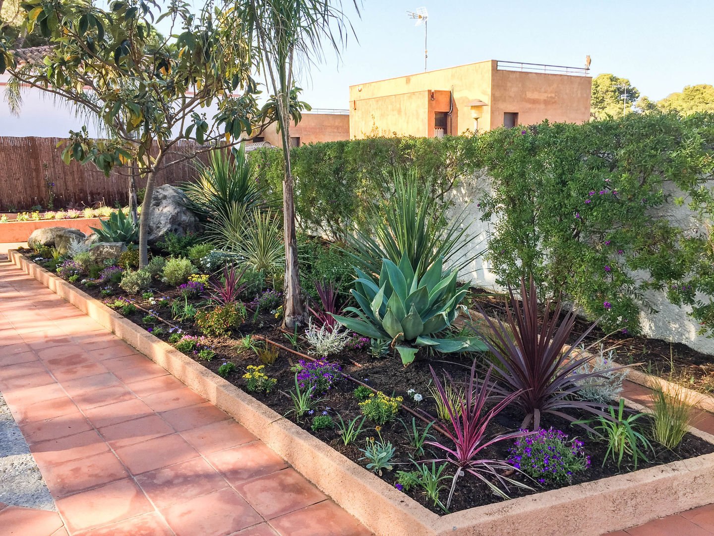 Jardin en La Fosca, Nosaltres Toquem Fusta S.L. Nosaltres Toquem Fusta S.L. Tropical style garden