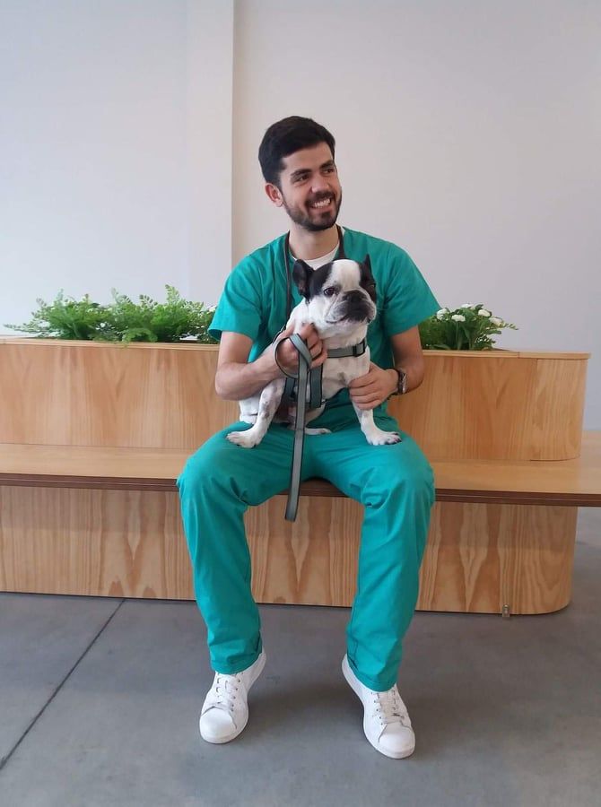 Hospital Veterinário Trofa, MIA arquitetos MIA arquitetos Spazi commerciali Legno Effetto legno Ospedali