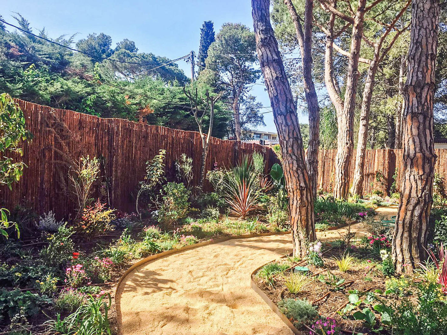 Jardin en La Fosca, Nosaltres Toquem Fusta S.L. Nosaltres Toquem Fusta S.L. Vườn phong cách nhiệt đới