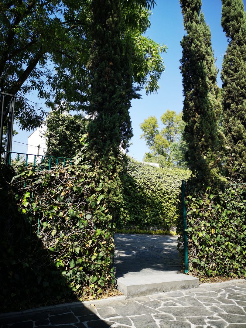 Podado de jardín y construcción de escalón en patio doblev.arq Jardines de estilo clásico