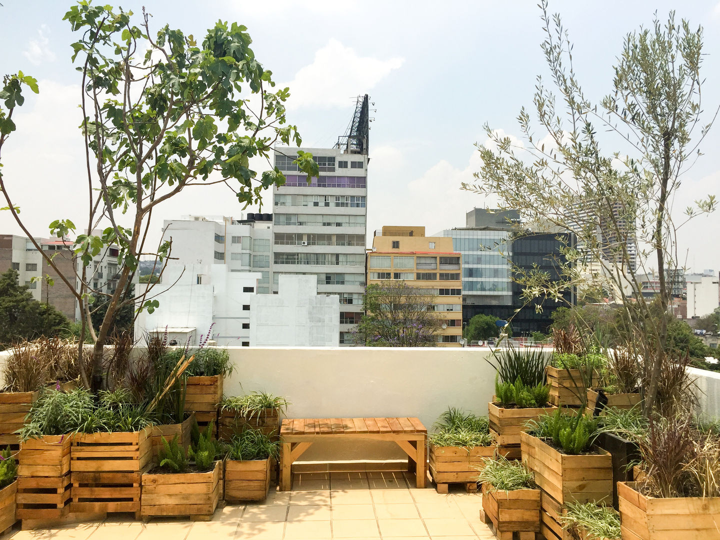 Roofgarden VC15, Boceto Arquitectos Paisajistas Boceto Arquitectos Paisajistas Modern balcony, veranda & terrace Wood Wood effect