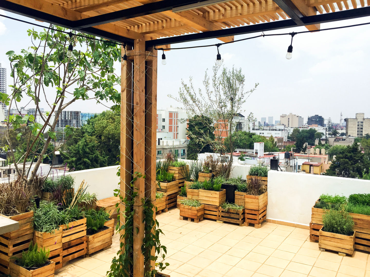 Roofgarden VC15, Boceto Arquitectos Paisajistas Boceto Arquitectos Paisajistas Modern balcony, veranda & terrace Metal