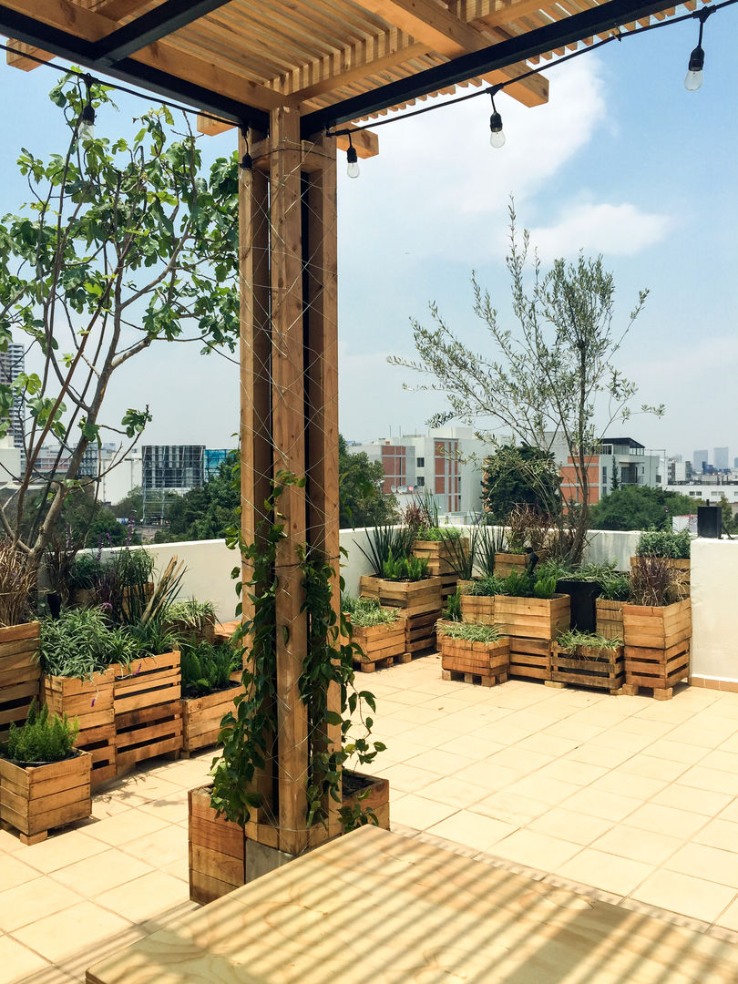 Roofgarden VC15, Boceto Arquitectos Paisajistas Boceto Arquitectos Paisajistas Modern Terrace