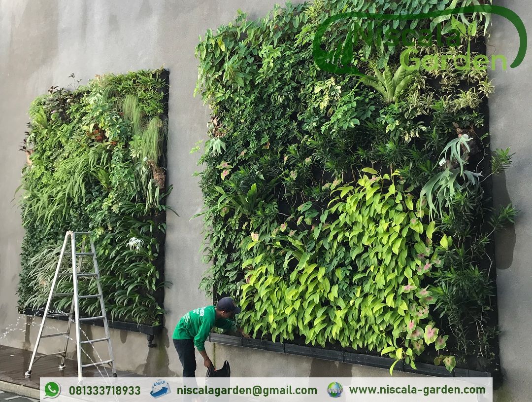 Tukang Taman Vertikal Malang, NISCALA GARDEN | Tukang Taman Surabaya NISCALA GARDEN | Tukang Taman Surabaya