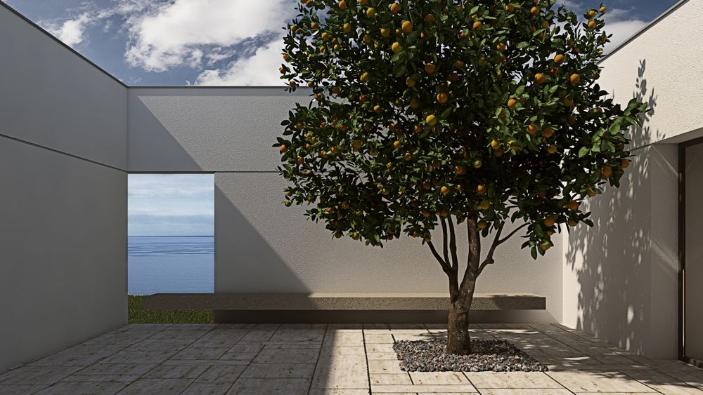 Patio with a window overlooking the sea, lemon tree ALESSIO LO BELLO ARCHITETTO a Palermo Patios Stone terrace,garden,internal garden,tree,vegetation