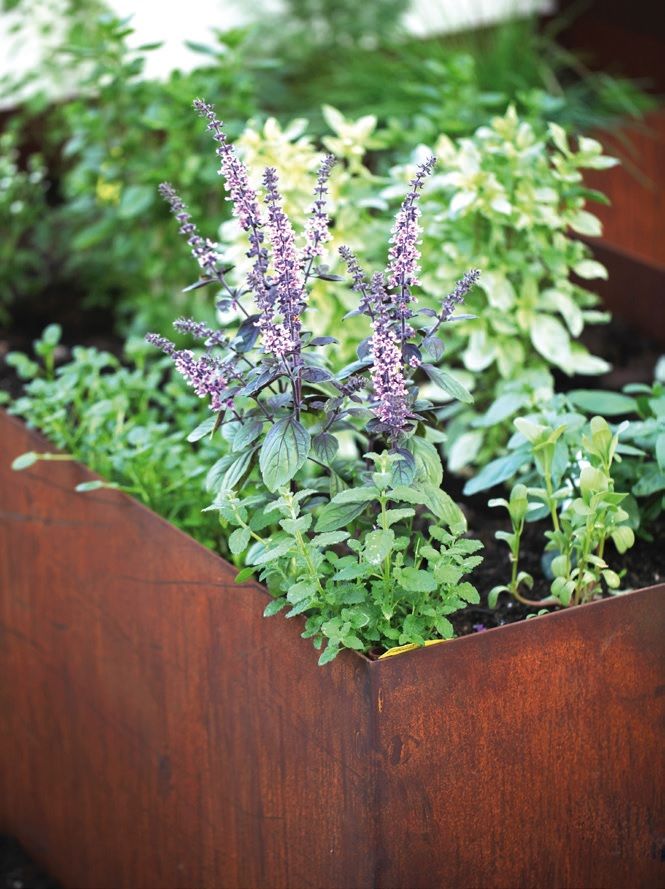 Edelrost Hochbeet massiv Angels Garden Sandra Hofbauer und Stefan Franke GbR Rustikaler Garten Eisen/Stahl Hochbeet,Edelrost Hochbeet,Hochbeet aus Metall