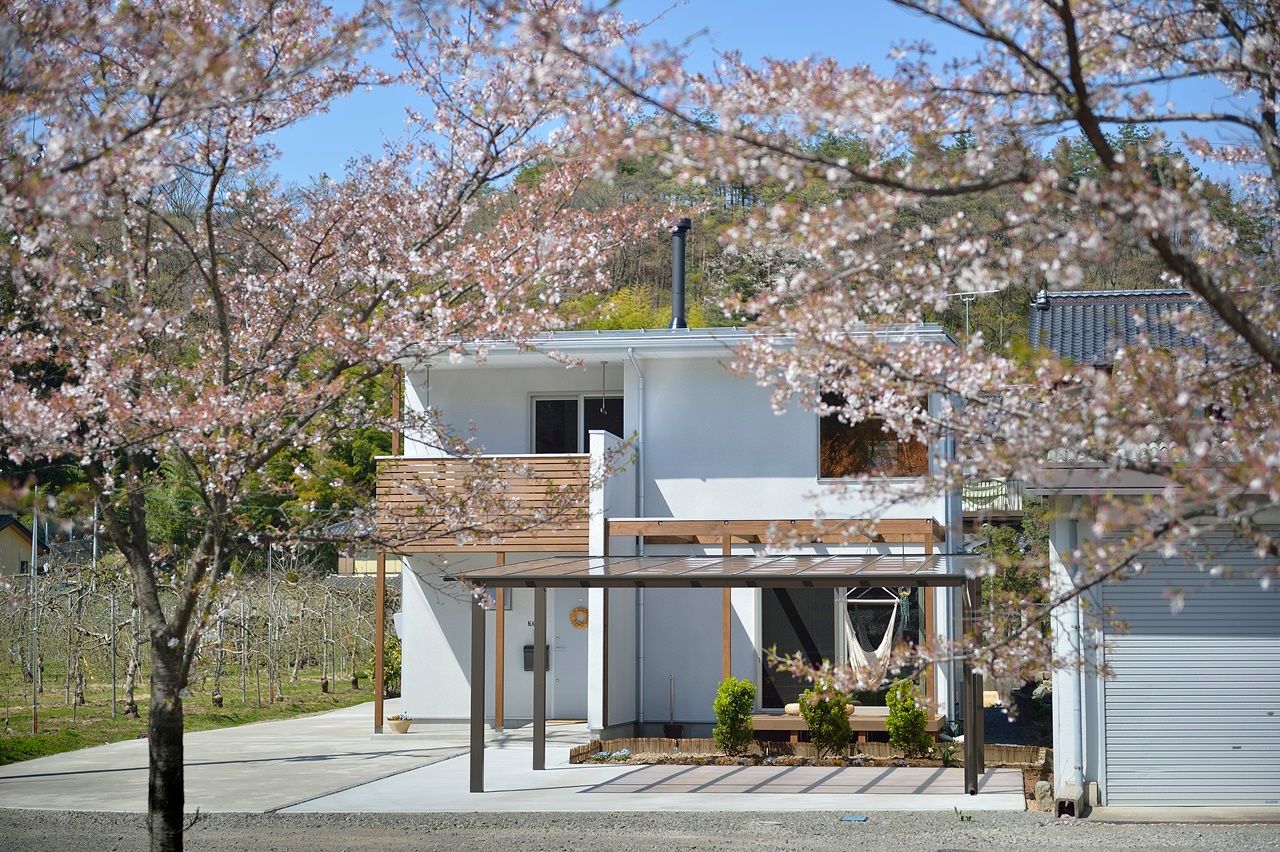 桜の似合う家, 空間工房株式会社 空間工房株式会社 Дома на одну семью