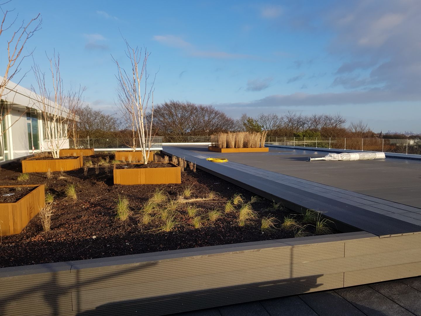 Dachterrasse mit Begrünung und Pflanzbeeten, Zimmerei Nehls Zimmerei Nehls Taras na dachu