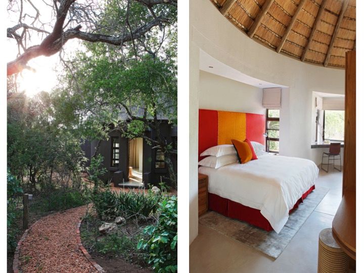 Tshemba Lodge, Hoedspruit, Metaphor Design Metaphor Design พื้นที่เชิงพาณิชย์ คอนกรีต โรงแรม