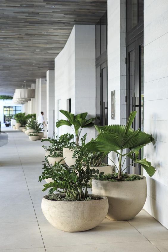 Corredores, Viviendo Verde Viviendo Verde Minimalist corridor, hallway & stairs