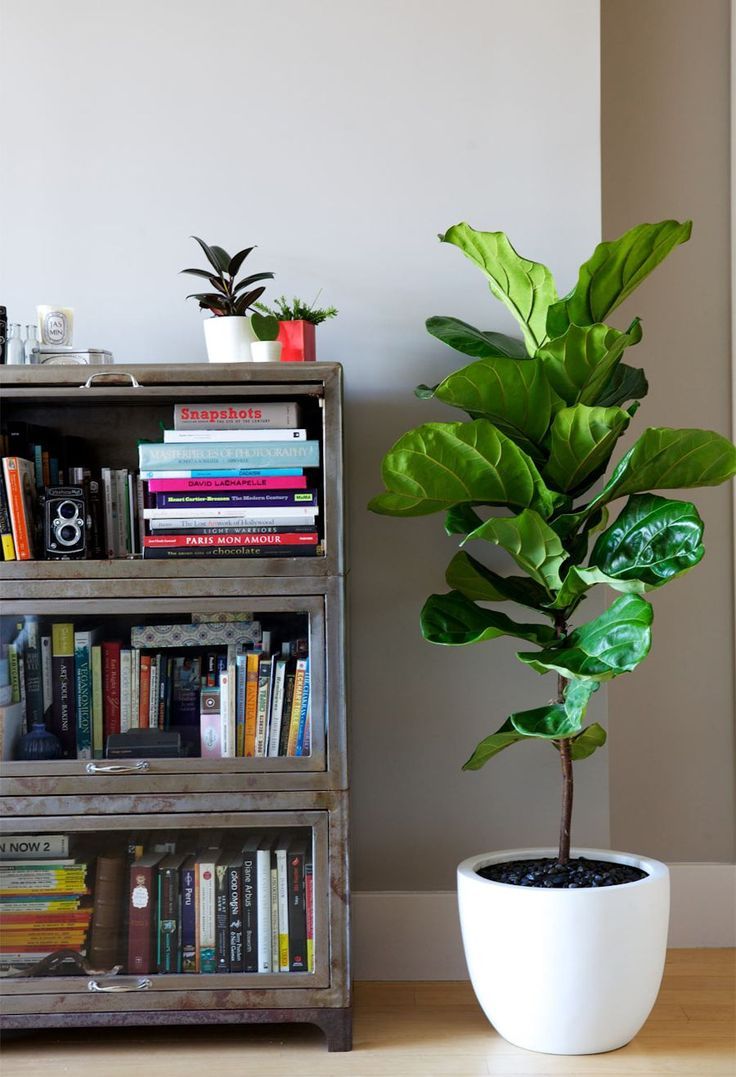 rincones con vida, Viviendo Verde Viviendo Verde Minimalist living room