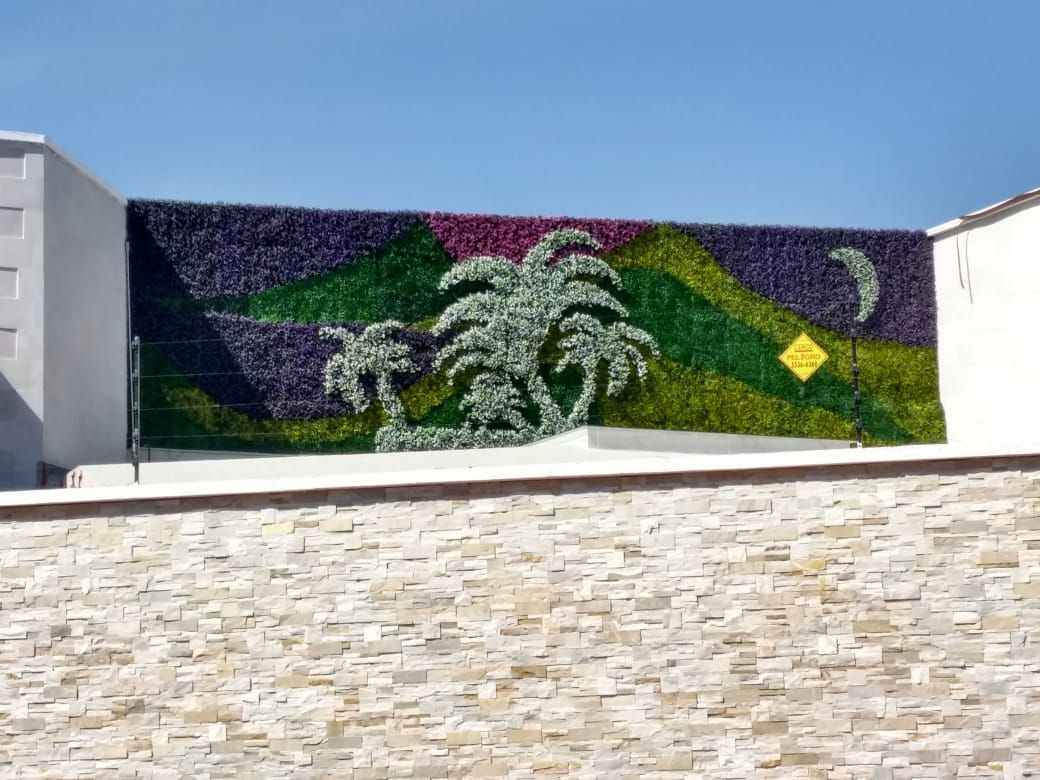 Muro Verde diseño con palmeras Proyecto Paisaje Jardines frontales