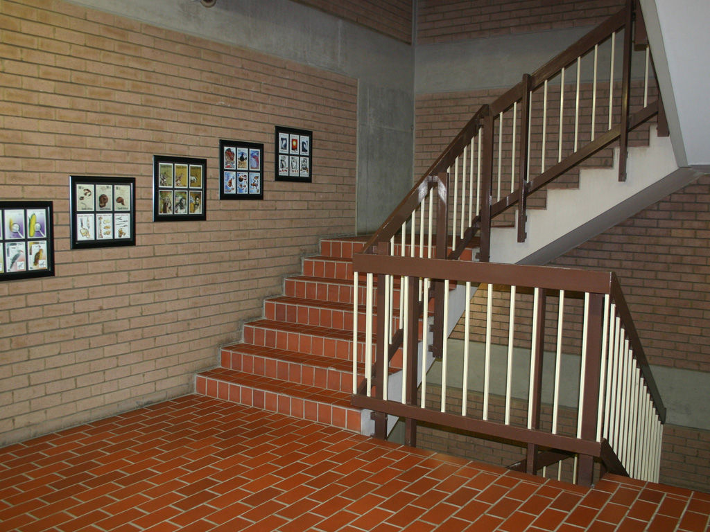 Before: Old-fashioned staircase. Nuclei Lifestyle Design Commercial spaces Office buildings