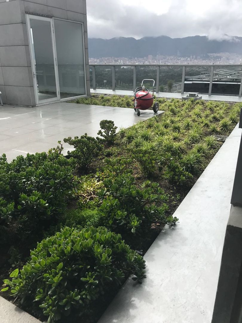 Edificio Elemento (Bogotá), Helecho SAS Helecho SAS Atap datar