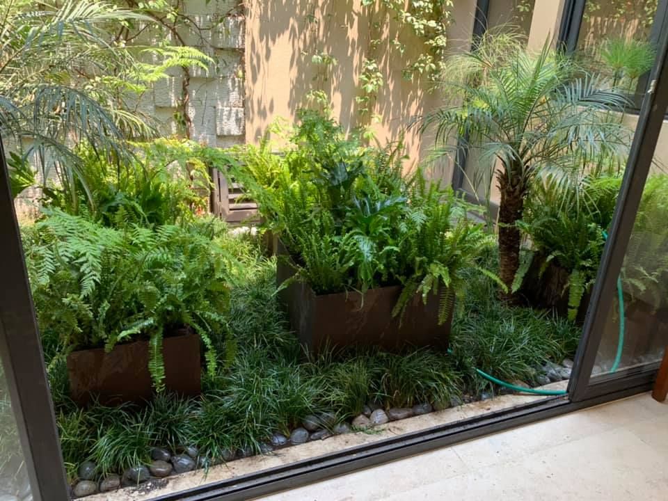 MANTENIMIENTO DE ESPACIOS JARDINERIA EMPRESARIAL.COM.MX Jardines modernos: Ideas, imágenes y decoración