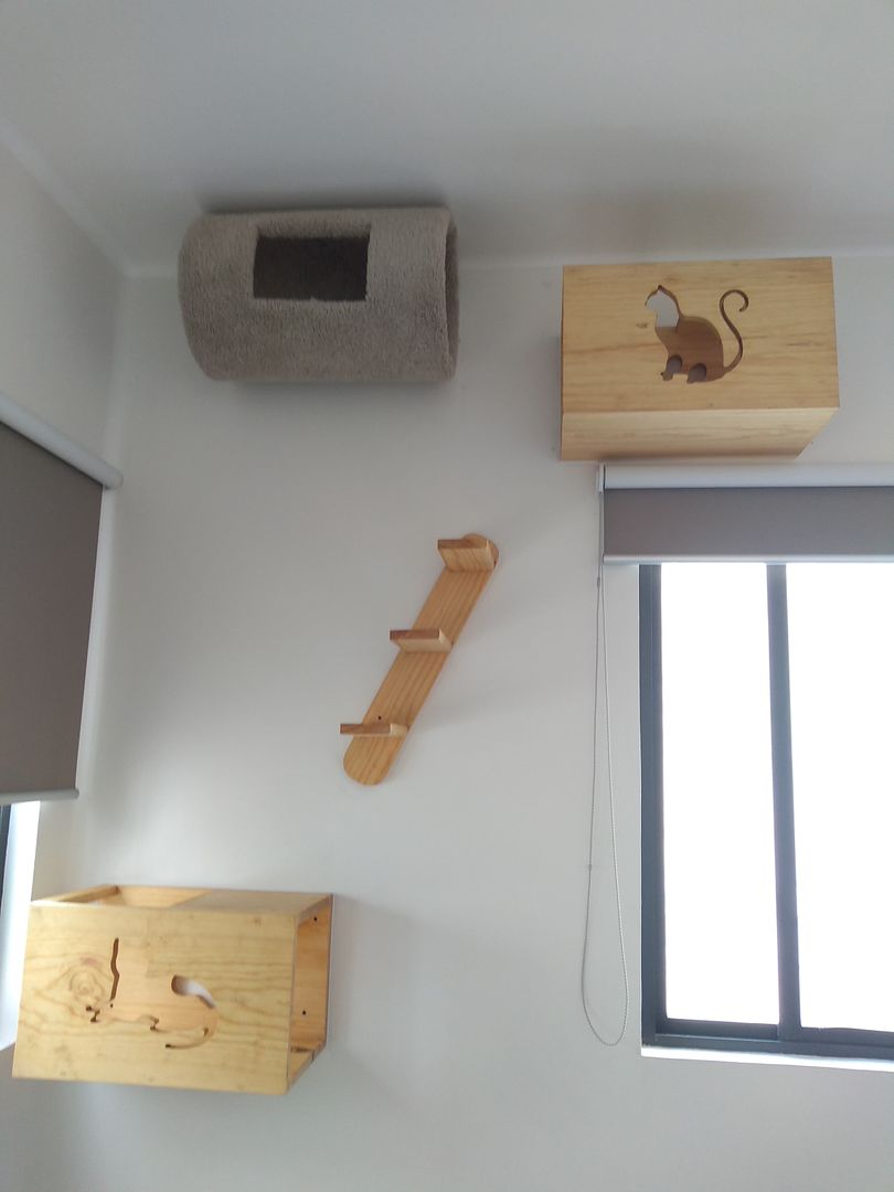 fUNNYCAT - Gateras de madera que le van encantar a tu gato, VIVE arquitectura VIVE arquitectura モダンな 壁&床