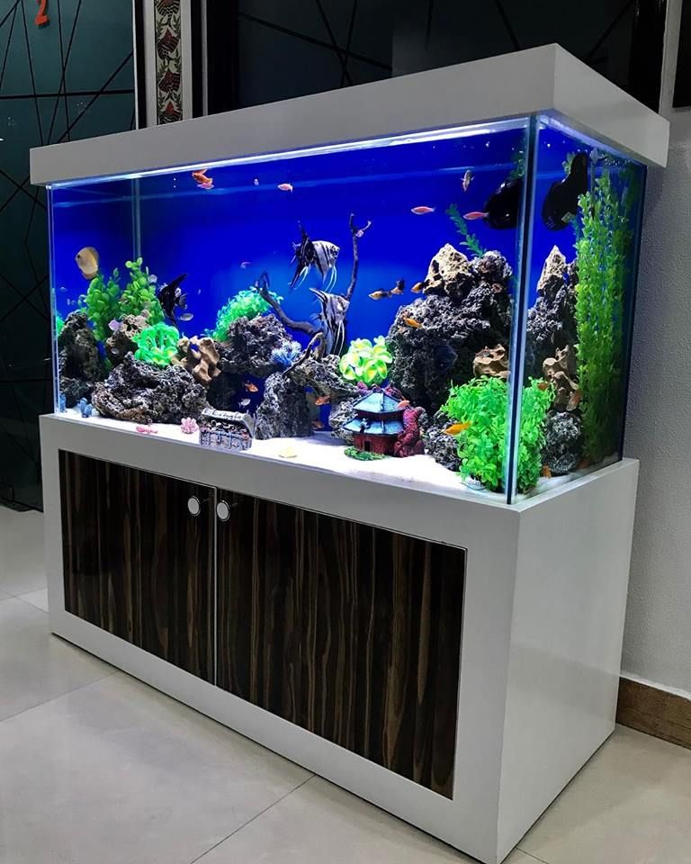 Beautiful "Custom Aquarium" at Dental Clinic, Aquarist - Custom Aquariums Aquarist - Custom Aquariums مساحات تجارية عيادات طبية