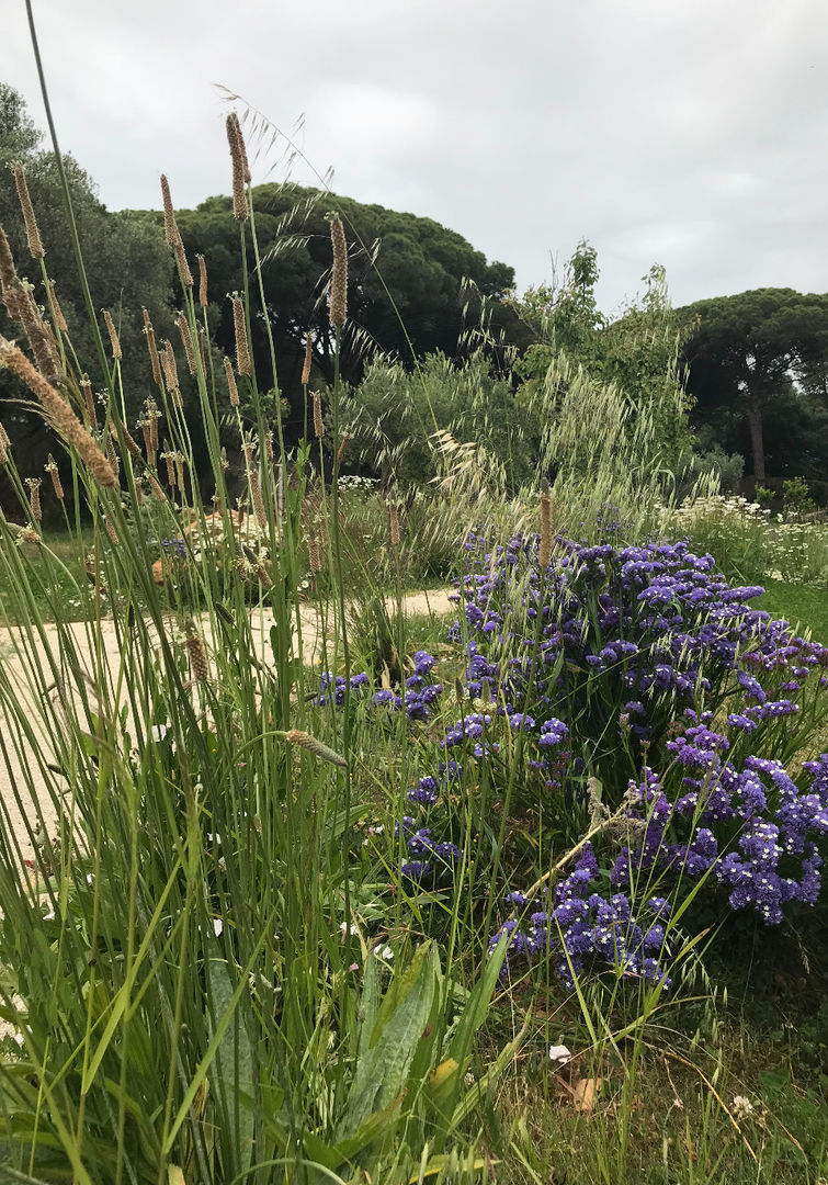 Jardim Natural- Quinta nos arredores de Lisboa, Maria Mayer | Interior & Landscape Design Maria Mayer | Interior & Landscape Design Vườn phong cách mộc mạc