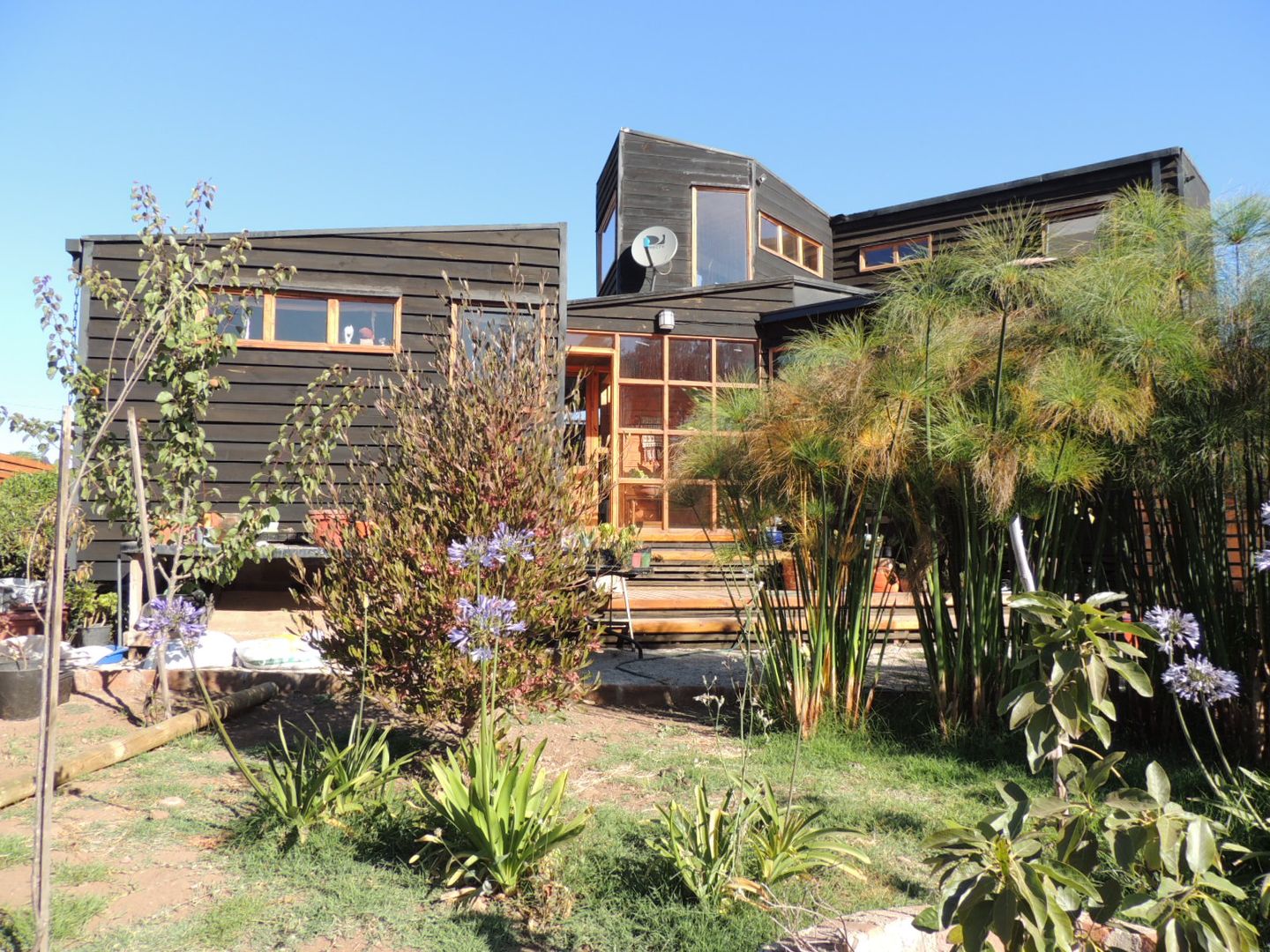 Casa Molle , MS Arquitectos MS Arquitectos Wooden houses Wood Wood effect