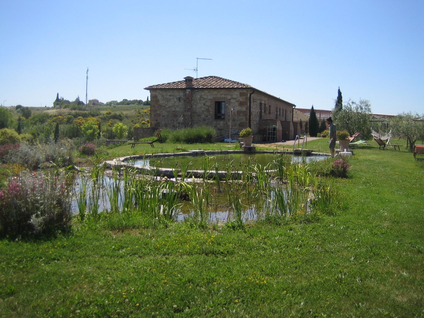 Biopiscina Pienza, Rigenera Rigenera 수영용 연못
