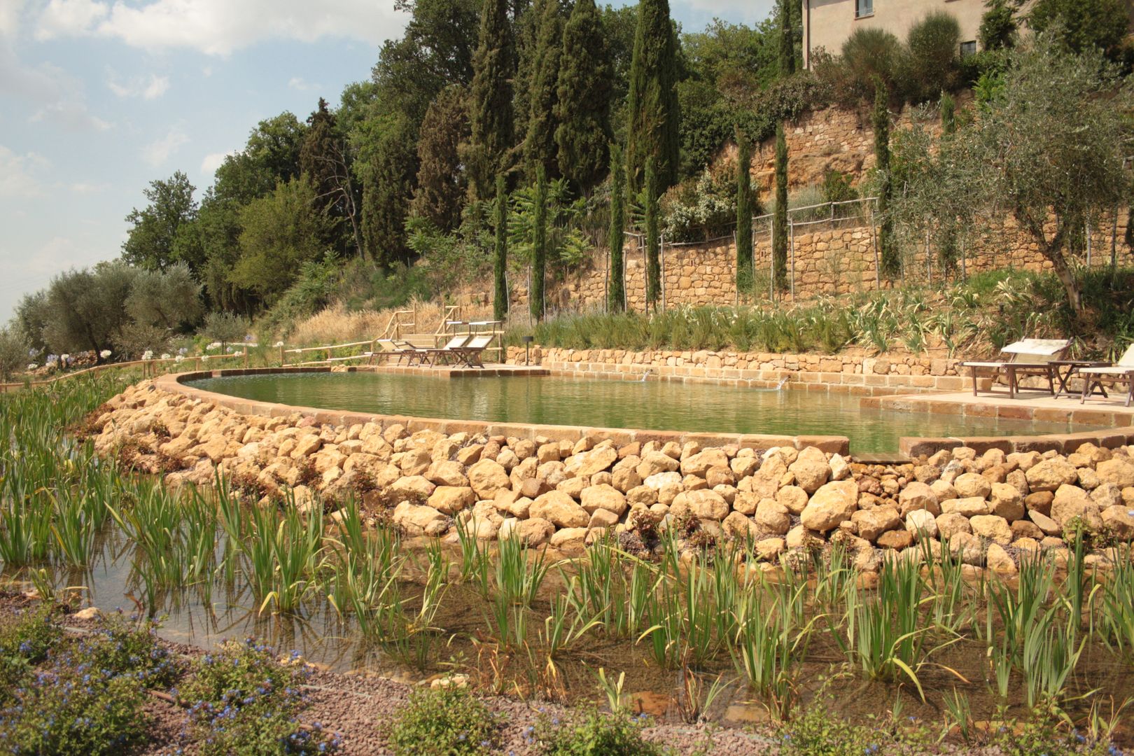 Biopiscina Toscana Rigenera Giardino con piscina biopiscina,biopiscine,piscine naturali,biolaghi