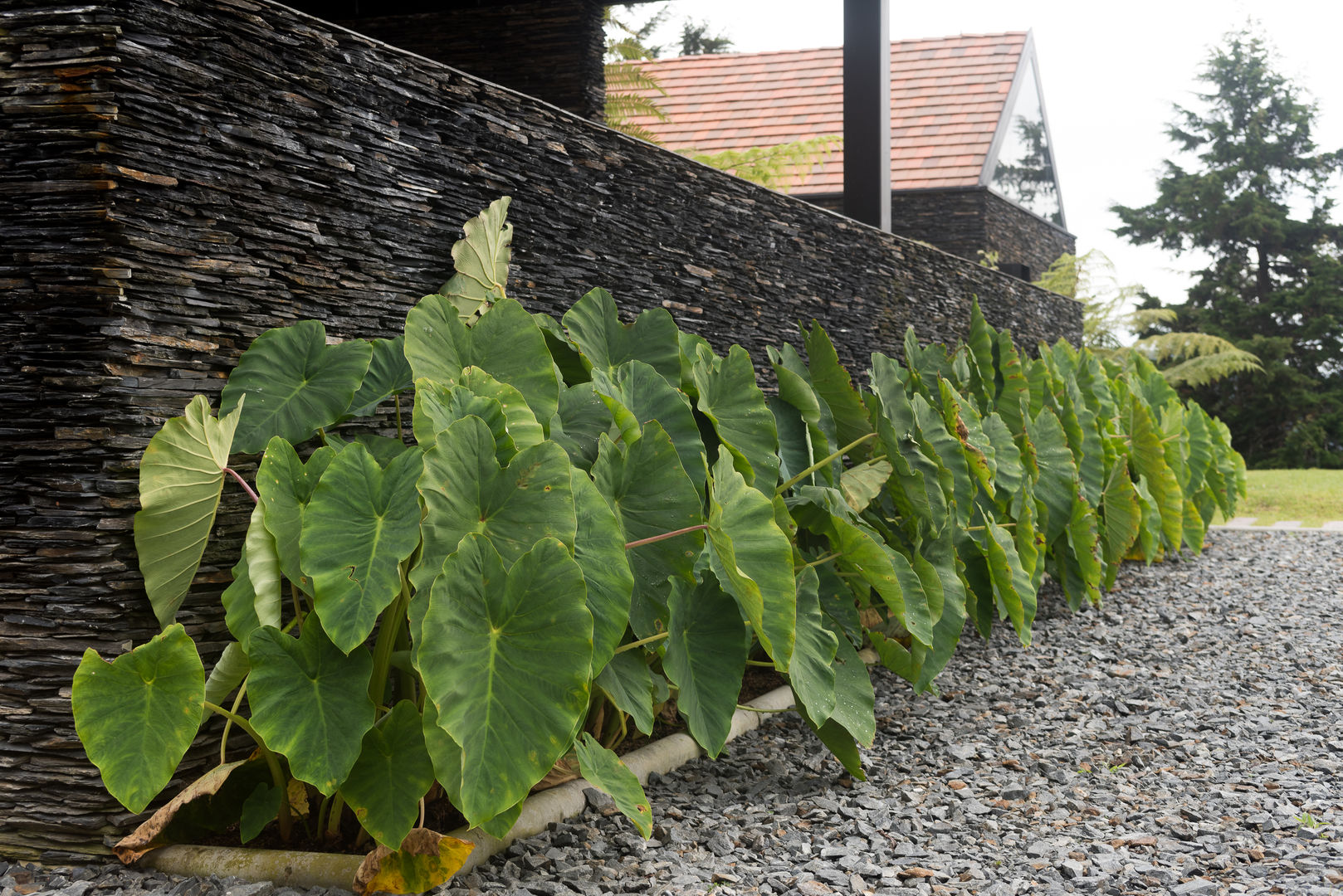 Diseño Jardín Cliente El Retiro - Antioquia, TERRA Prados y jardines TERRA Prados y jardines فناء أمامي