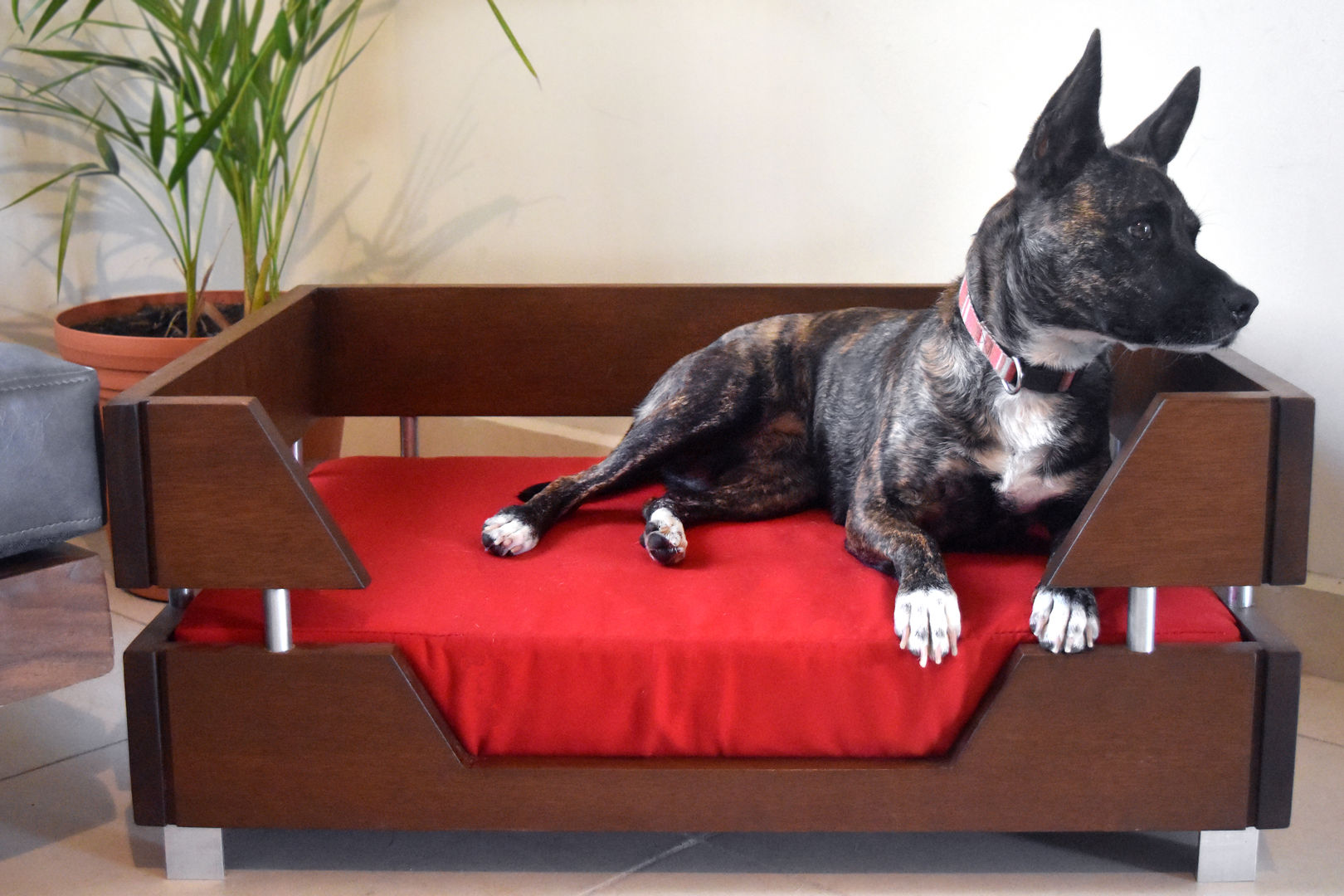 CAMA PARA MASCOTAS MODELO LULA Amiko Otros espacios Madera maciza Multicolor Accesorios para animales