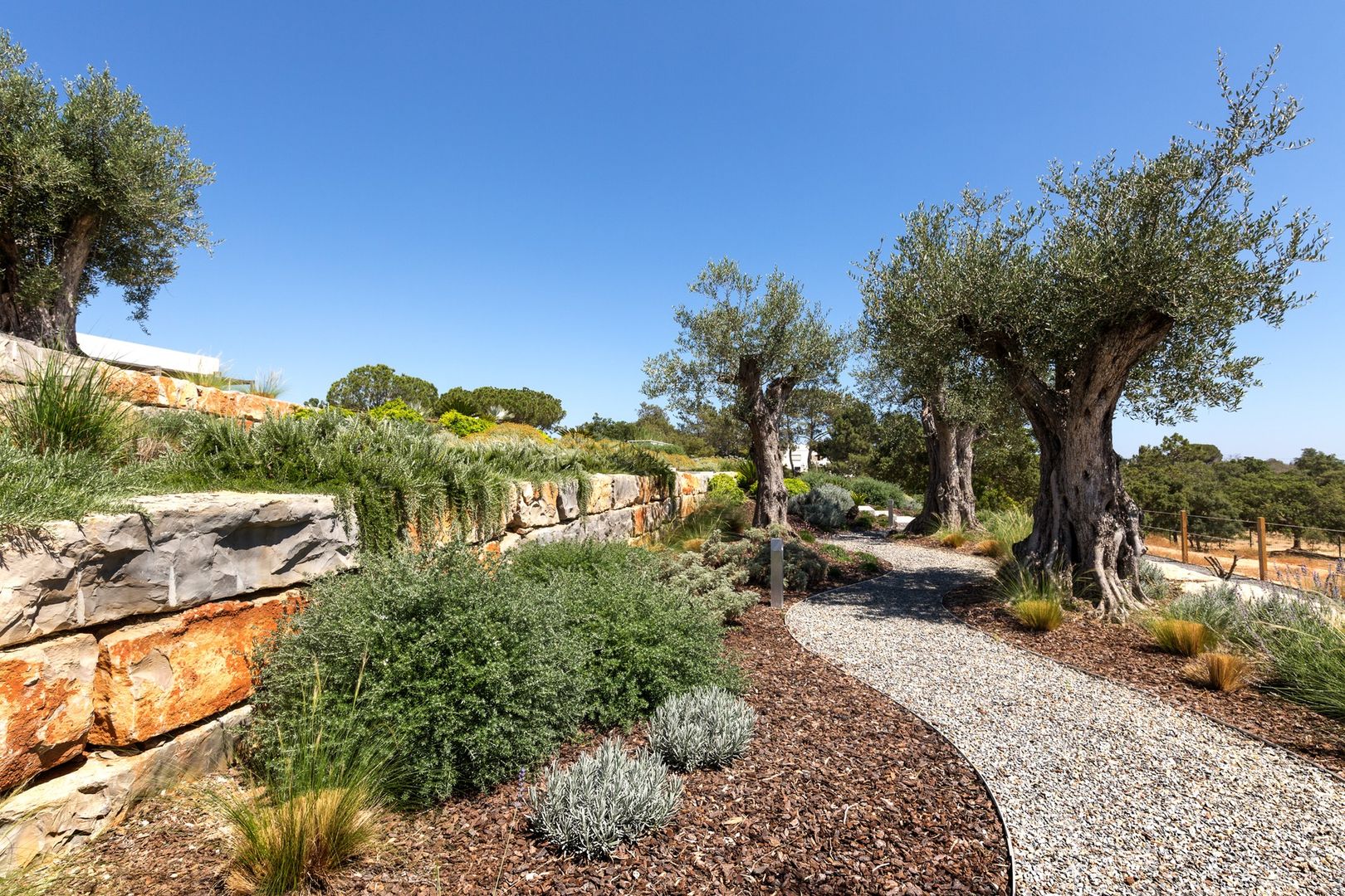 Casa Raio de Luz em Porches, Jardíssimo Jardíssimo حديقة