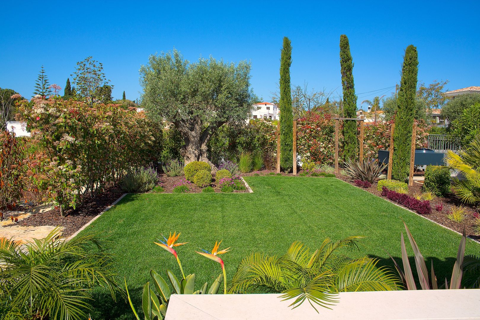 Jardíssimo - Villa Cesteiros, Carvoeiro, Jardíssimo Jardíssimo Giardino moderno