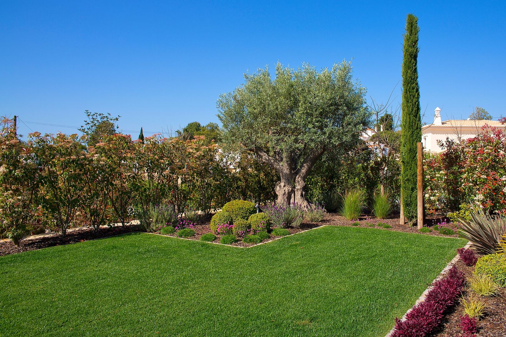 Jardíssimo - Villa Cesteiros, Carvoeiro, Jardíssimo Jardíssimo Jardin moderne