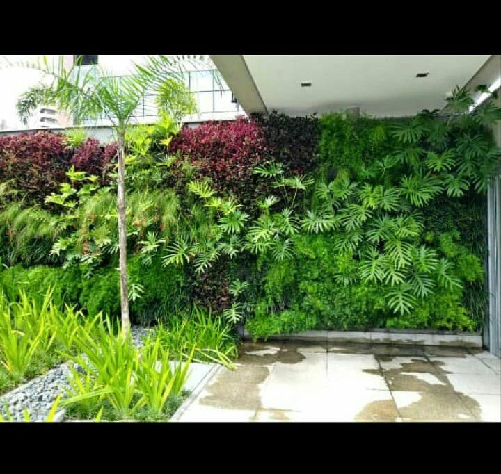 vertical com rega automática Telhado Verde e Jardim Vertical SP Jardins tropicais