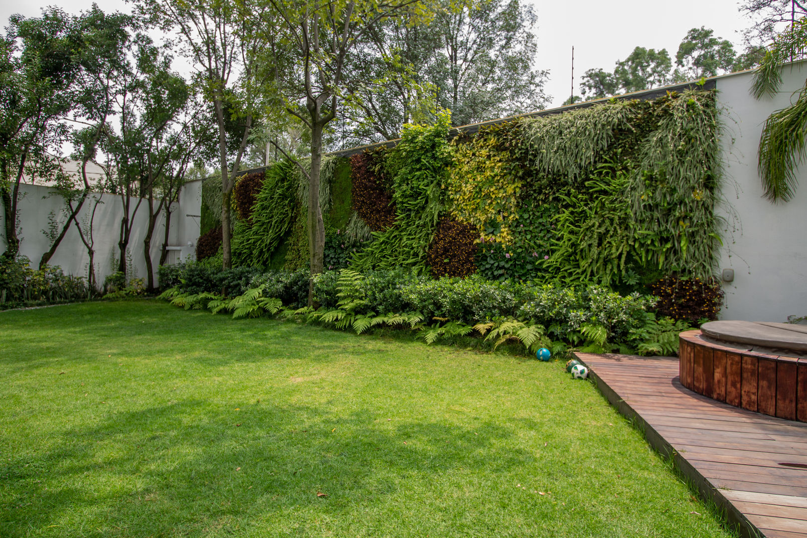 Muro Verde Natural, San Angel Inn, Generación Verde Generación Verde Jardines de estilo moderno