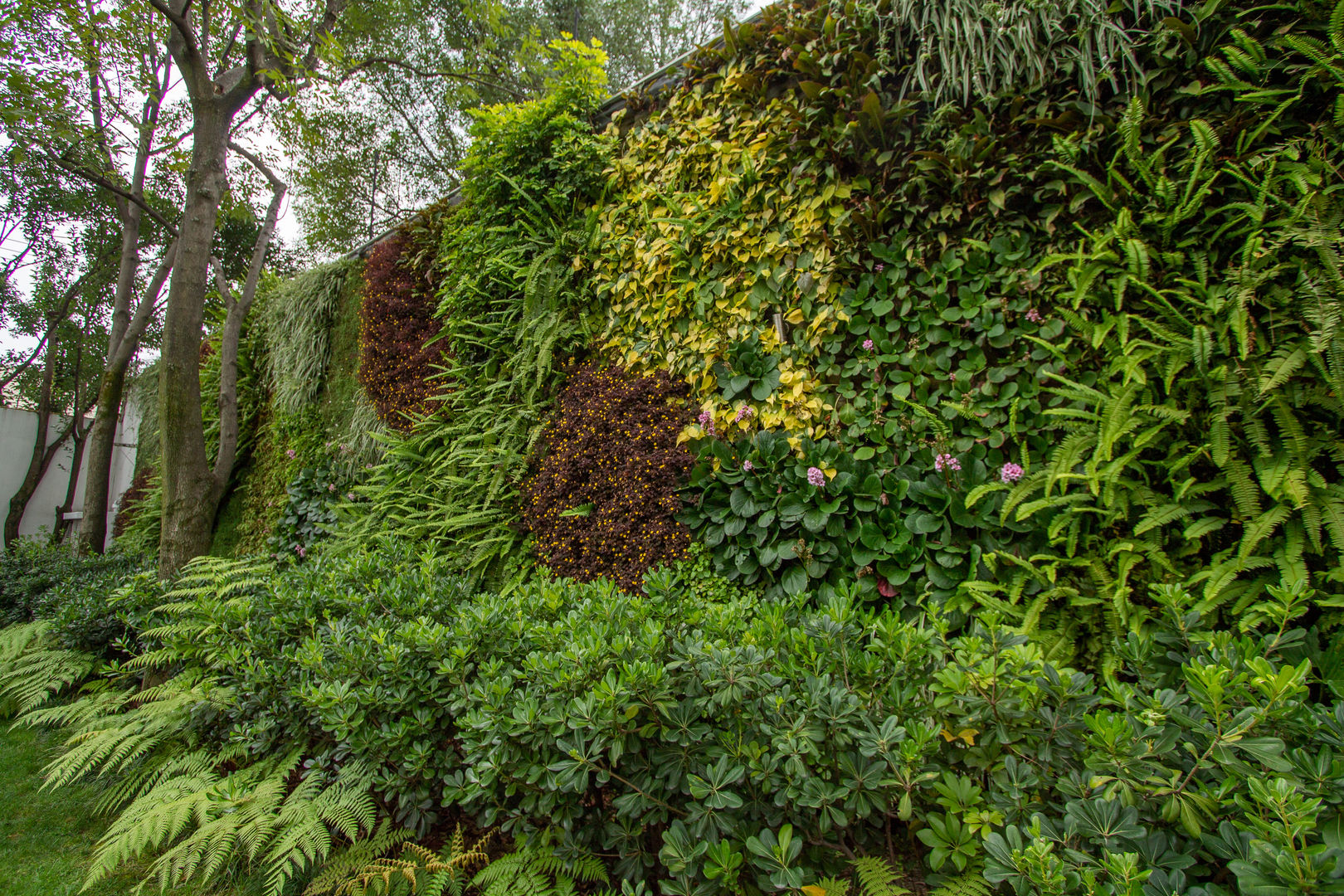 Muro Verde Natural, San Angel Inn, Generación Verde Generación Verde حديقة