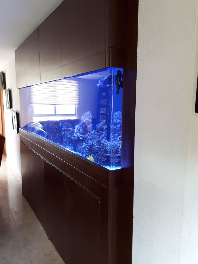 Aquario Marino para Sala de Estar, Alfquarium Alfquarium Living room لکڑی پلاسٹک جامع