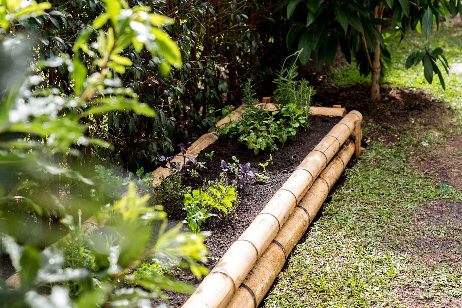 Resultado Final TERRA Prados y jardines Jardines de estilo rústico