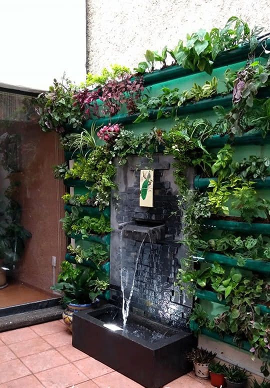 muro verde y fuente de pared Jardineria Xochimilco Casas de estilo minimalista