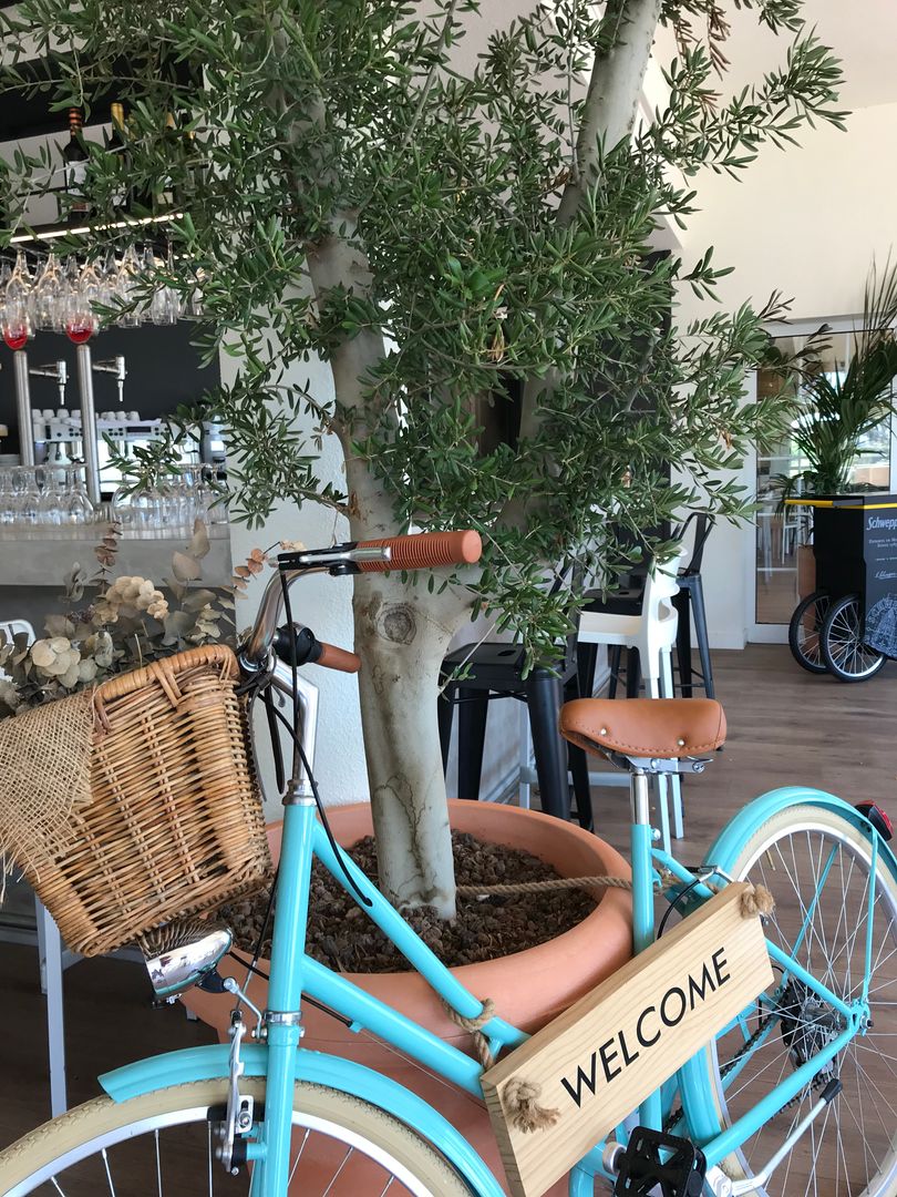 Bicicleta que da la bienvenida A interiorismo by Maria Andes Espacios comerciales Compuestos de madera y plástico Bicicleta decorativa, diseño de cafeteria, decoración bici,Locales gastronómicos