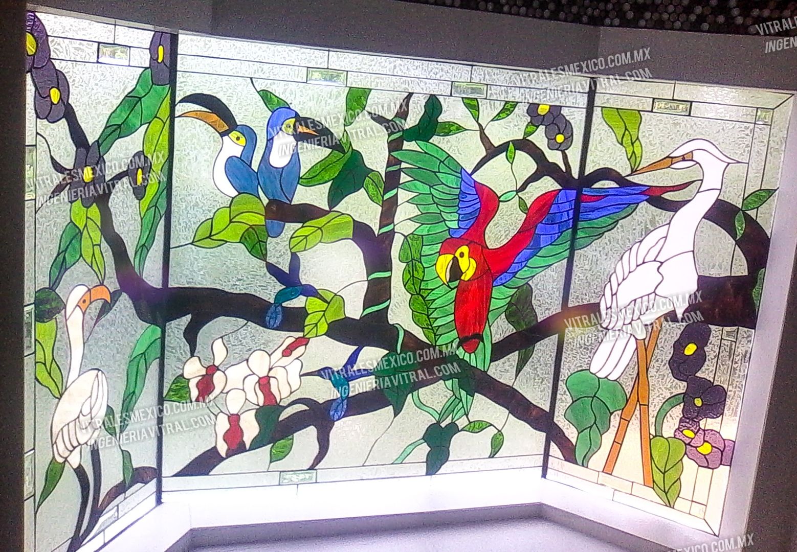 Maravillosas Propuestas de Vitrales, Ingeniería Vitral Ingeniería Vitral شبابيك