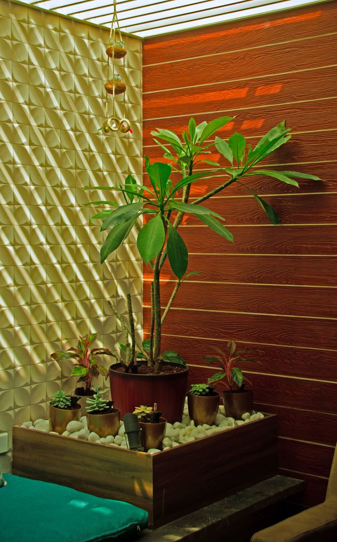 Plumeria Alba Indoor Landscaping Interioforest Plantscaping Solutions Modern living room