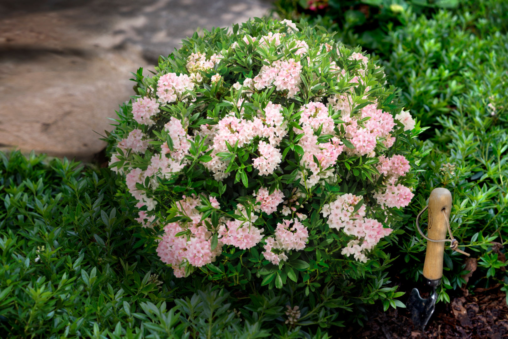 Bloombux, Bloombux Bloombux Jardines de estilo moderno