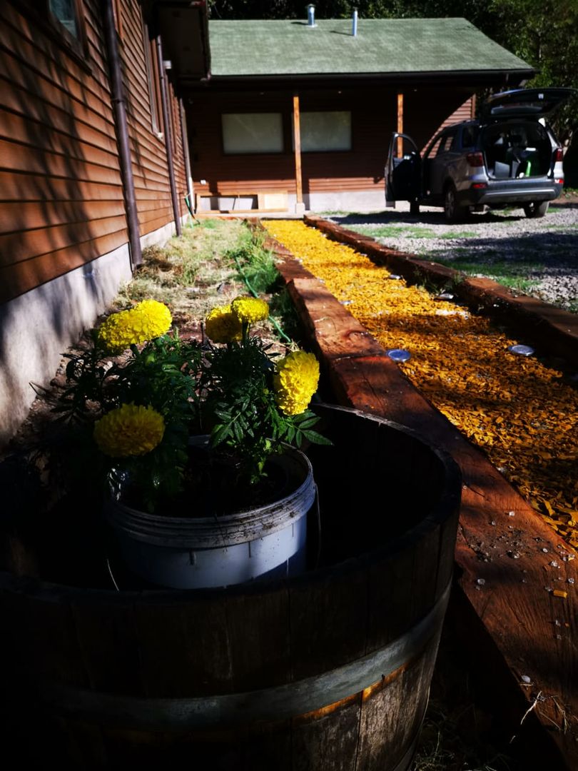 Casa Lavin Gonzalez, ATELIER3 ATELIER3 Jardines en la fachada