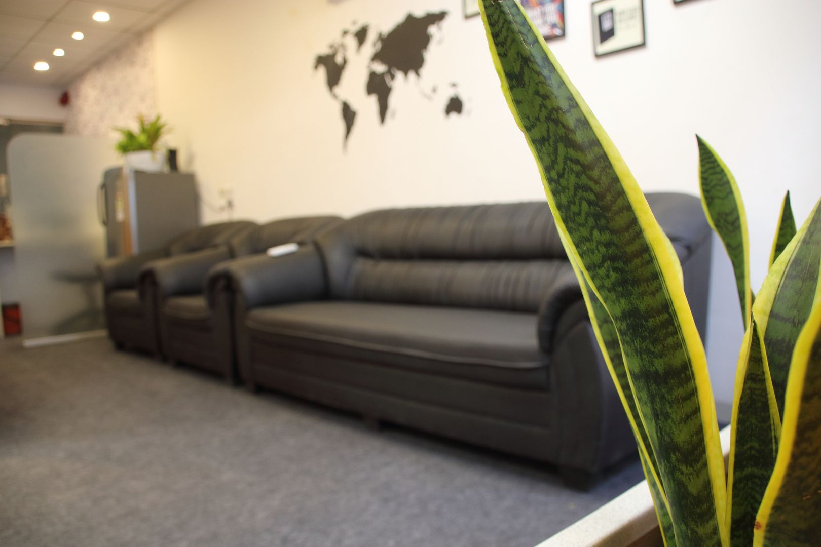 Office Plants Interioforest Plantscaping Solutions
