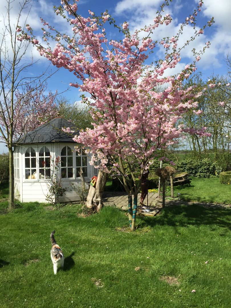 Garten- und Landschafts Feng Shui, Feng Shui Schwarz OG Feng Shui Schwarz OG Jardines rurales