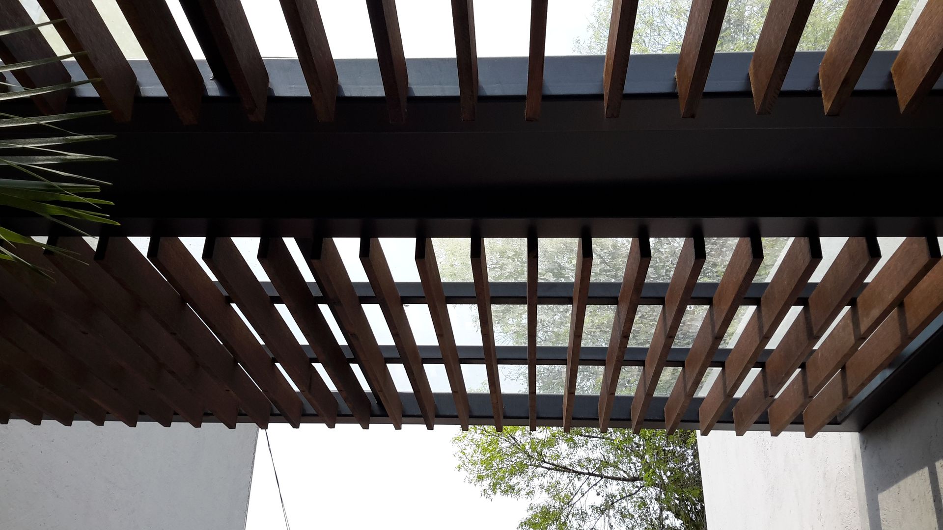 Casa Sur CDMX Merkalum Balcones y terrazas modernos: Ideas, imágenes y decoración Vidrio